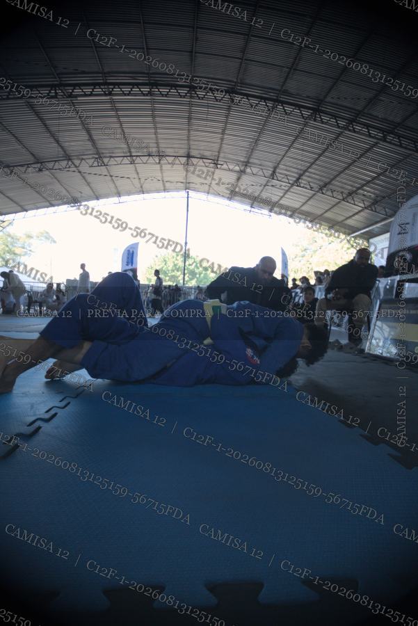 Prévia protegida da foto C12F-1-20260813125159-56715FDA