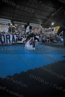 C12F-1-20260813125319-F4436532